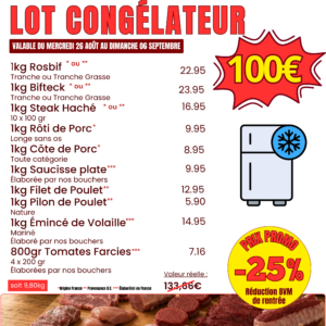 Lot congélateur BVM